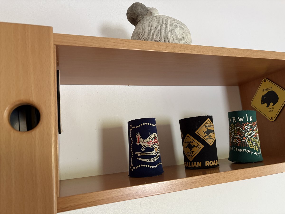 Another bird hole in the Australia room..