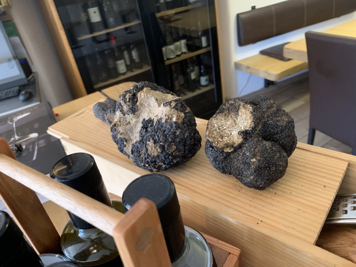 These are massive truffles we were shown at a local restaurant..