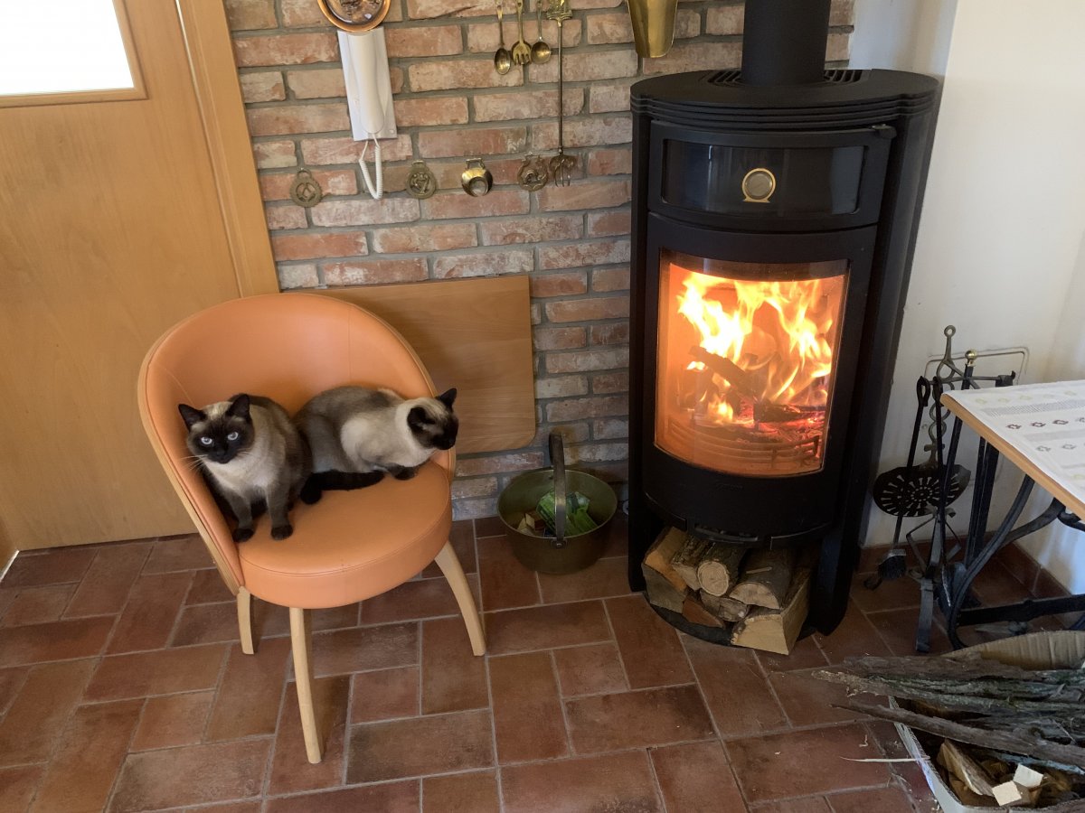 Cuddling up by the fire on a nippy Autumn day..