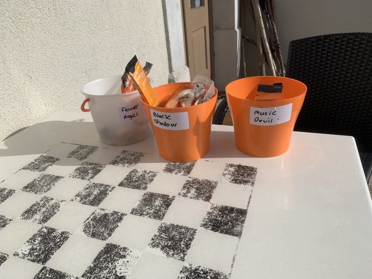 If you are lucky enough to be here for Halloween, we will almost certainly throw a Halloween party..