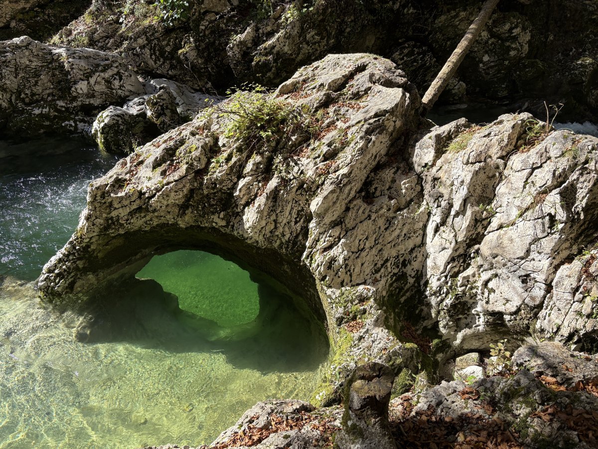 An elephant drinks from the crystal clear water..