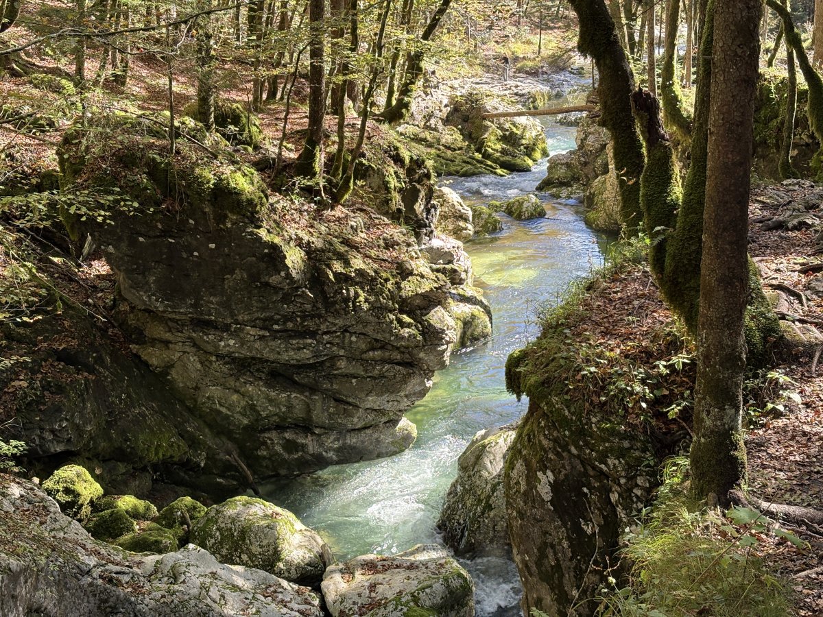 Walking back down the gorge..