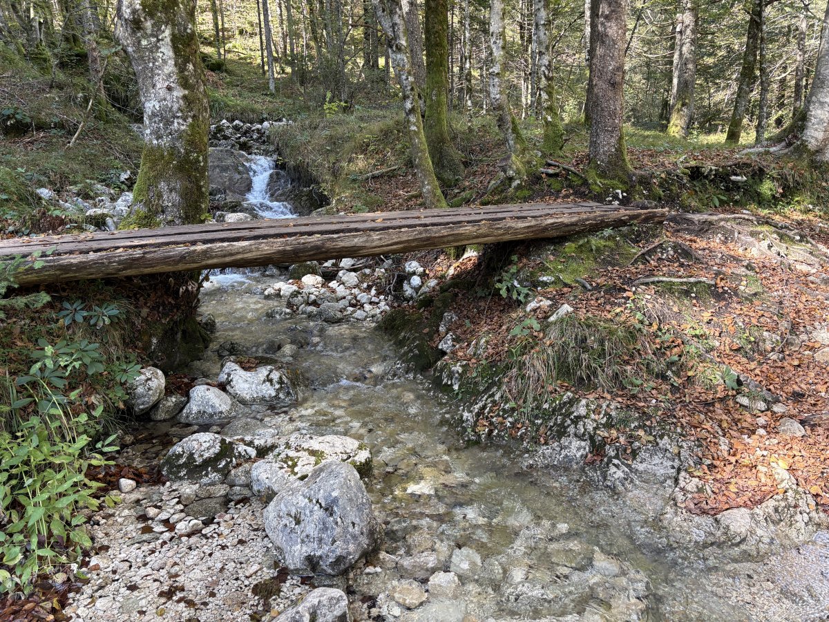 You can see why we just had to have a BRIDGE section on our website as there are so many cool bridges here in all shapes, types and sizes..