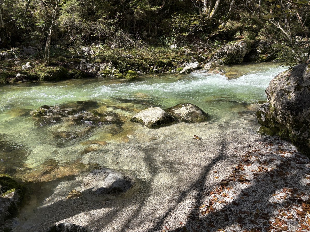 Make time to explore the little white pebble beaches along the river..