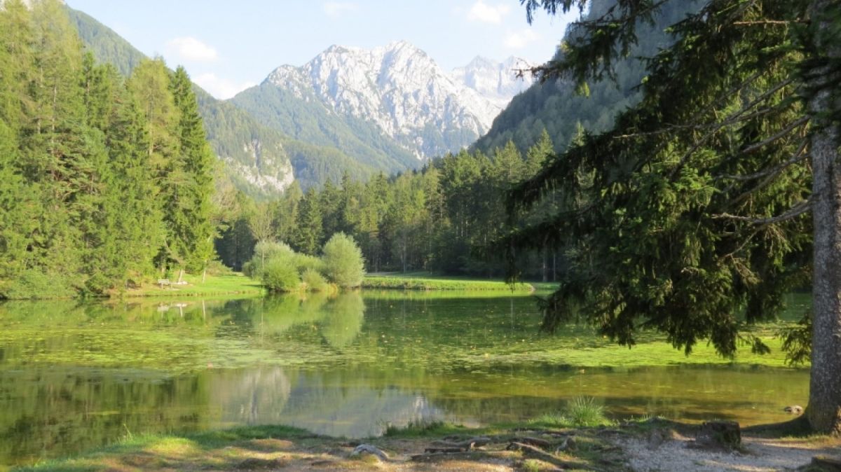 Little Lake at the base of the Alps