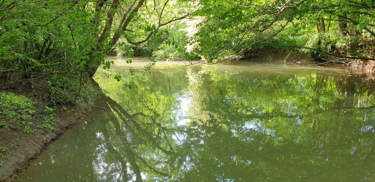 this river goes from under Nanos mountain all the way to the Postojna cave.. this river goes from under Nanos mountain all the way to the Postojna cave..