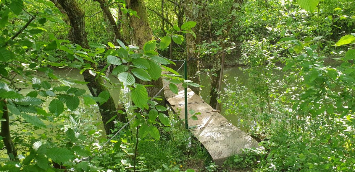 there is not a chance in a million years of finding this secret bridge, unless you know where to look! there is not a chance in a million years of finding this secret bridge, unless you know where to look!
