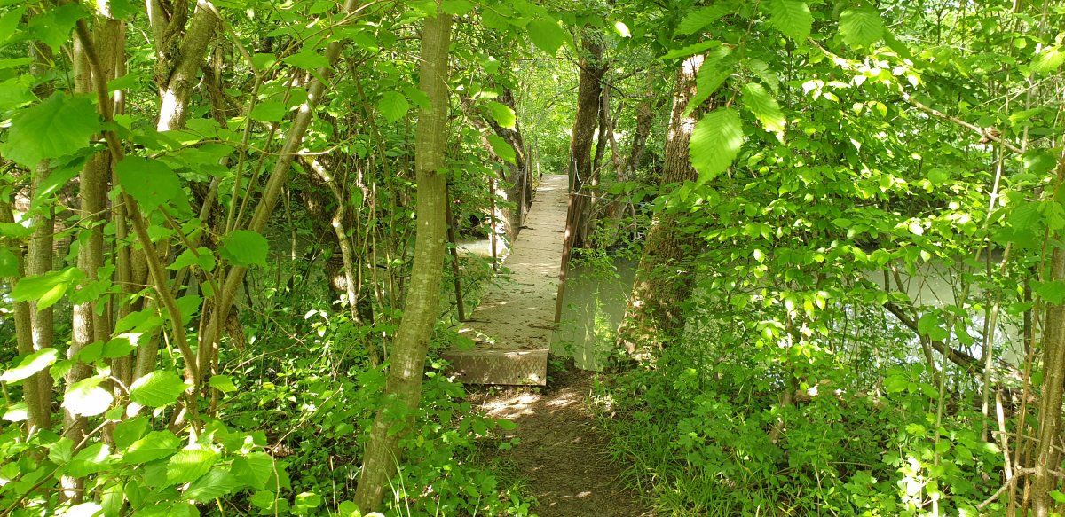 secret Bridge over little Nanos river