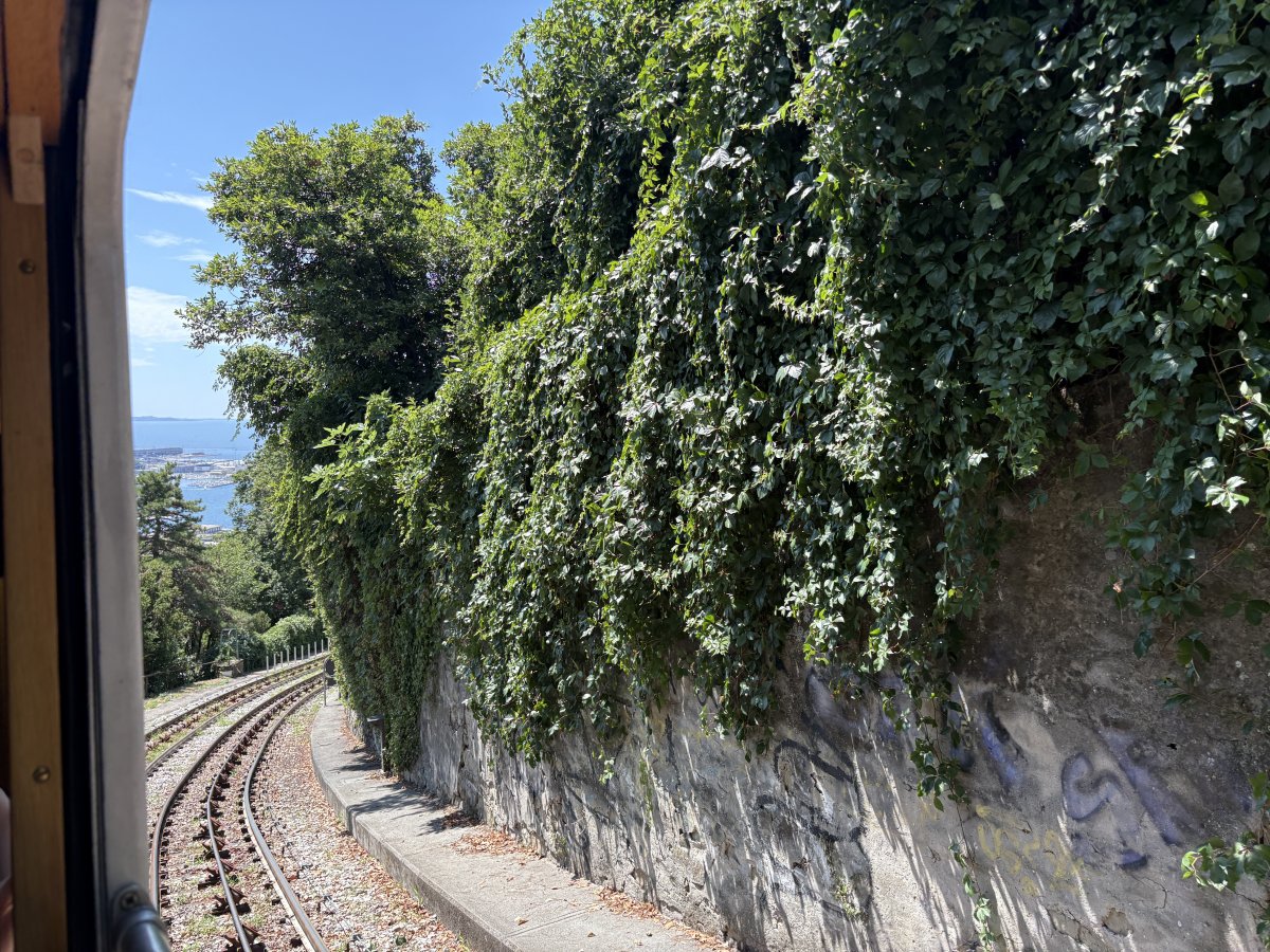 The tram leaves the roadside and joins a steep set of tracks into the city..