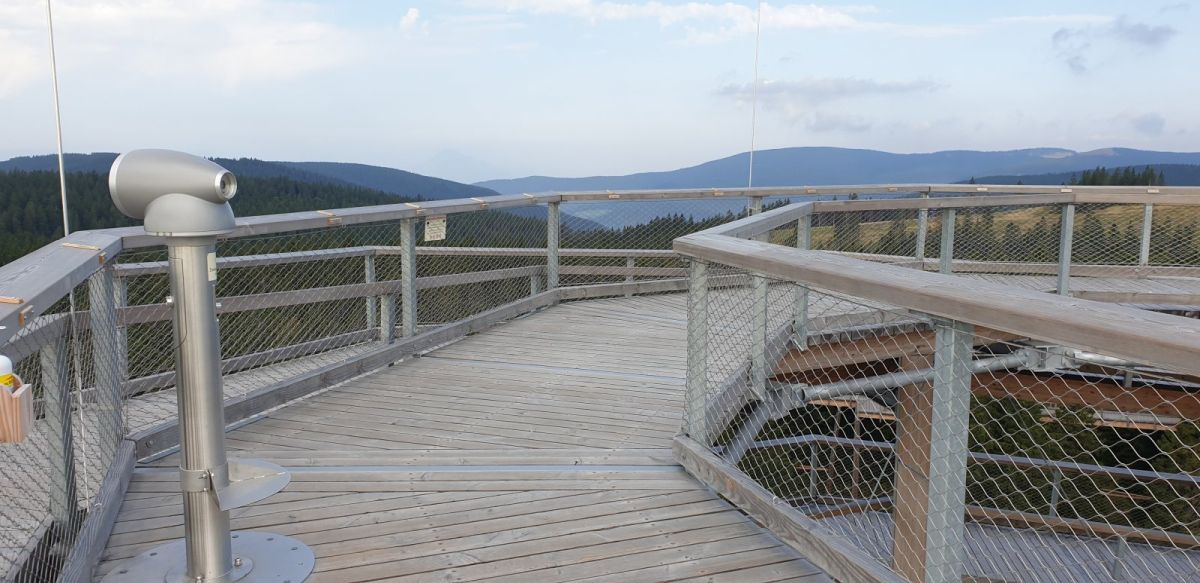 this is a proper viewing tower in the forest on top of a mountain..