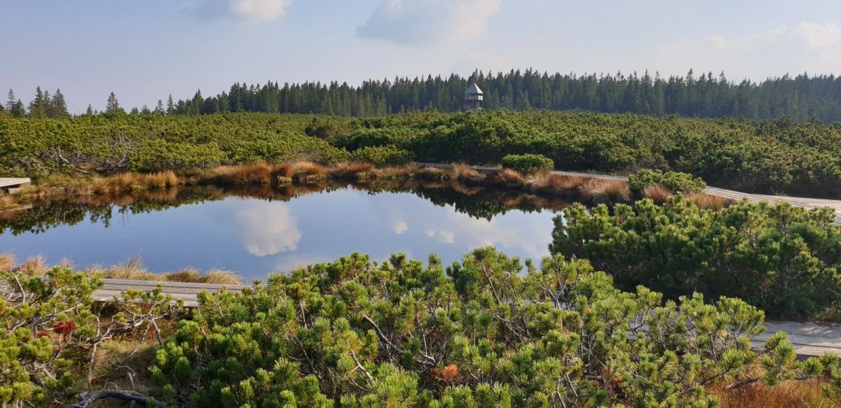 Magical Mountain Ponds