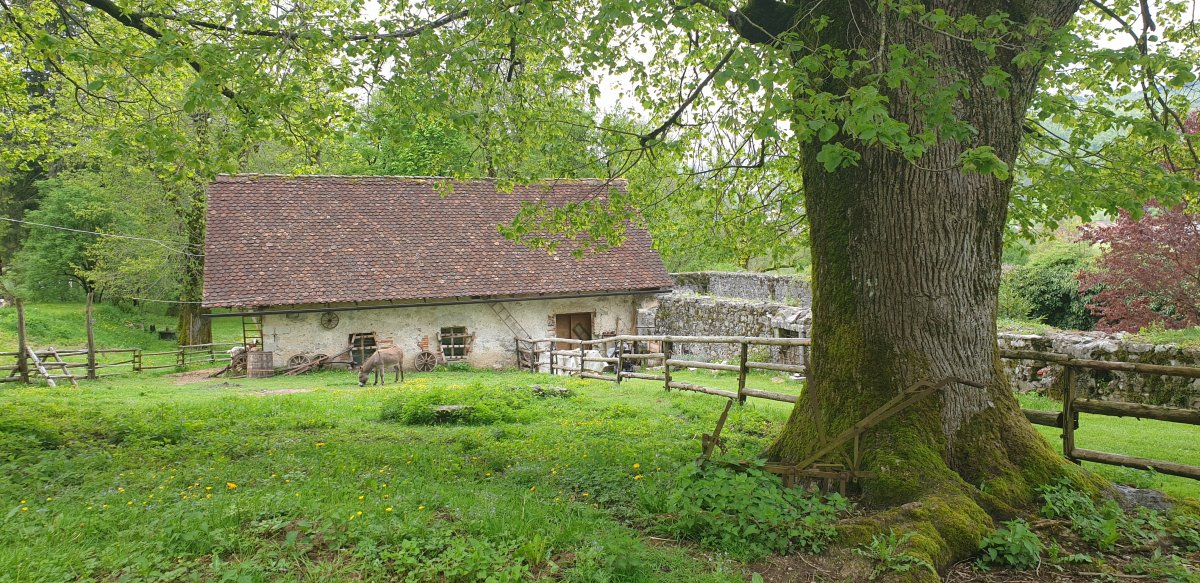 the Castle Barn..