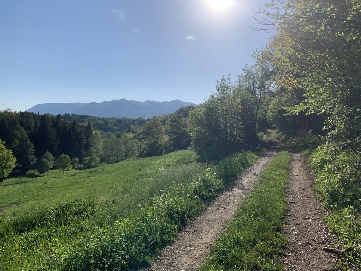 If you go DOWN St Lawrence you get to come back to the Lodge part of the way on this ancient secret track!