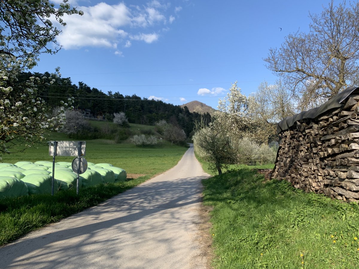 St Lawrence dead ahead..