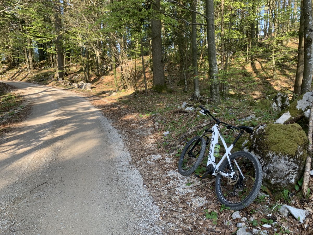 typical Karst forest terrain on the way up the mountain, with a perfect stone track..