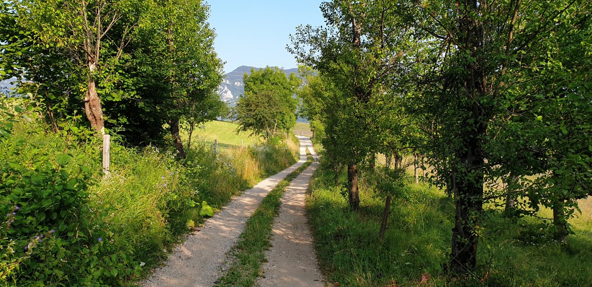 we could not ask for better biking tracks around here..
