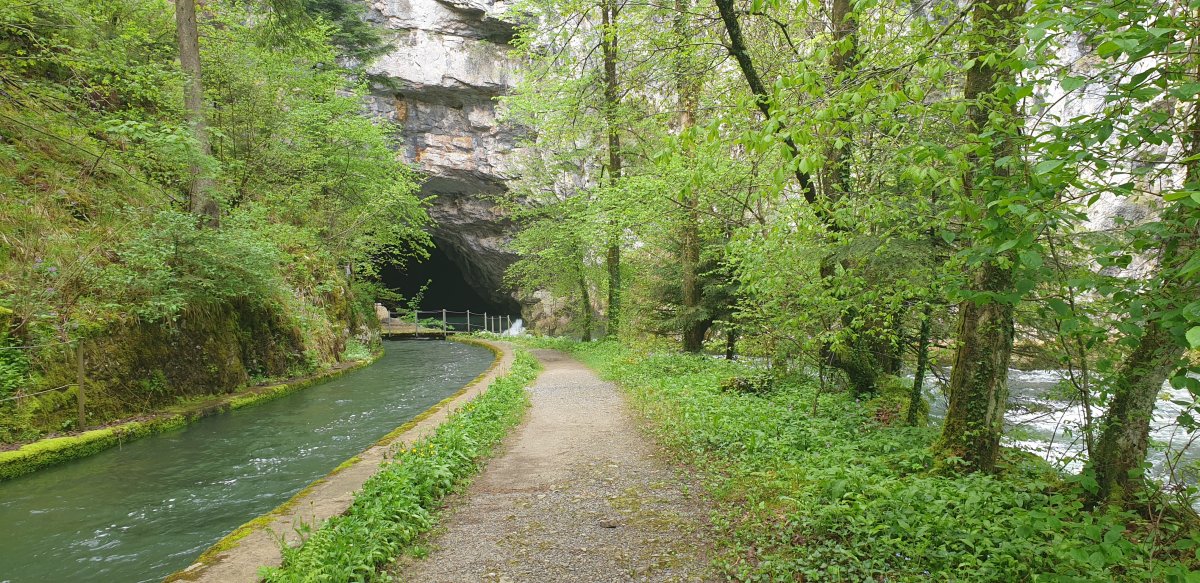 you absolutely must have a little wander up the river to see the beautiful  mouth of Planina cave..
