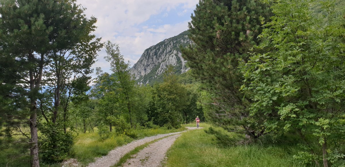 start of the mountain descent half way down Nanos..