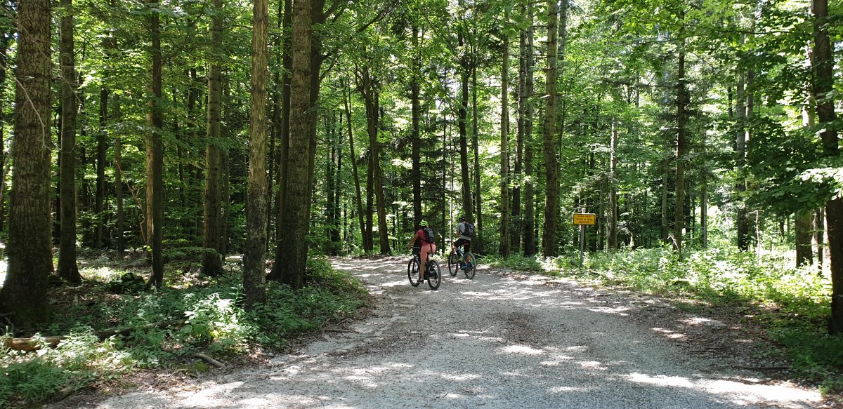 it really is this good..