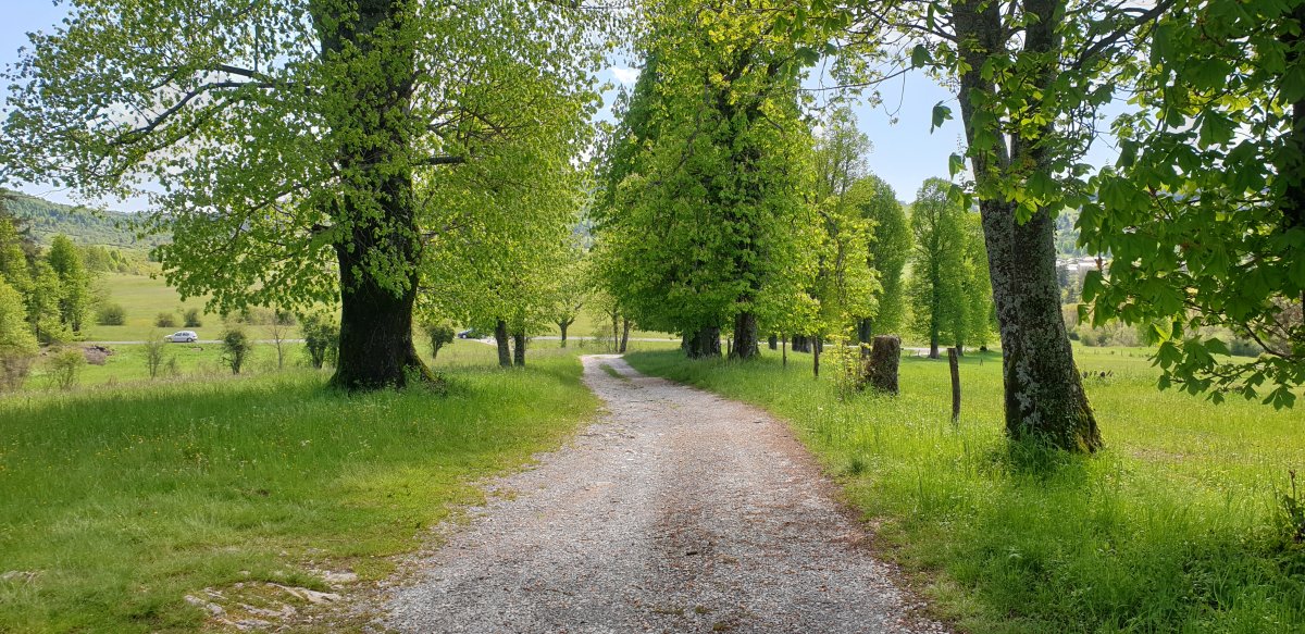fantastic stone track approach to Kalc tower..