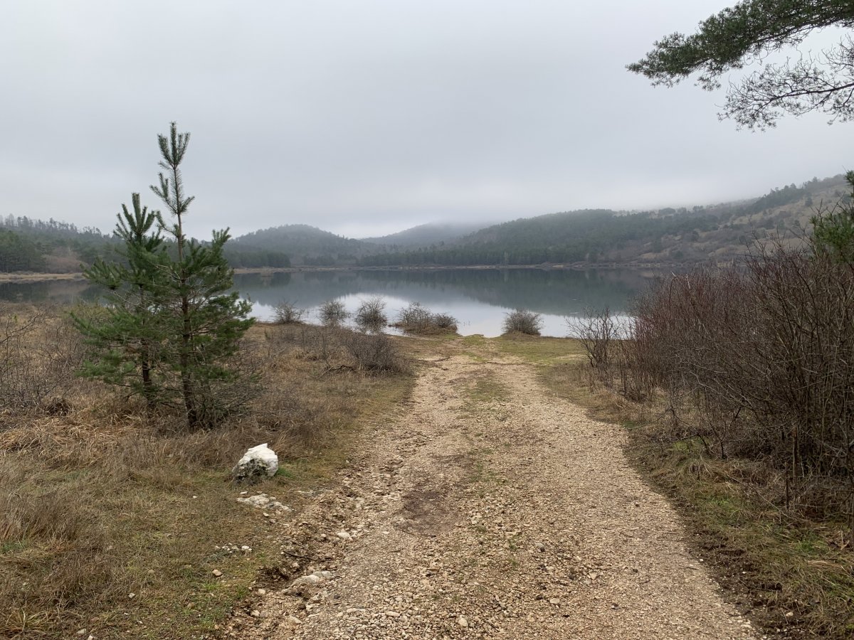 winter appraoch to Petelinje lake.. often the water comes up past where this photo is taken..