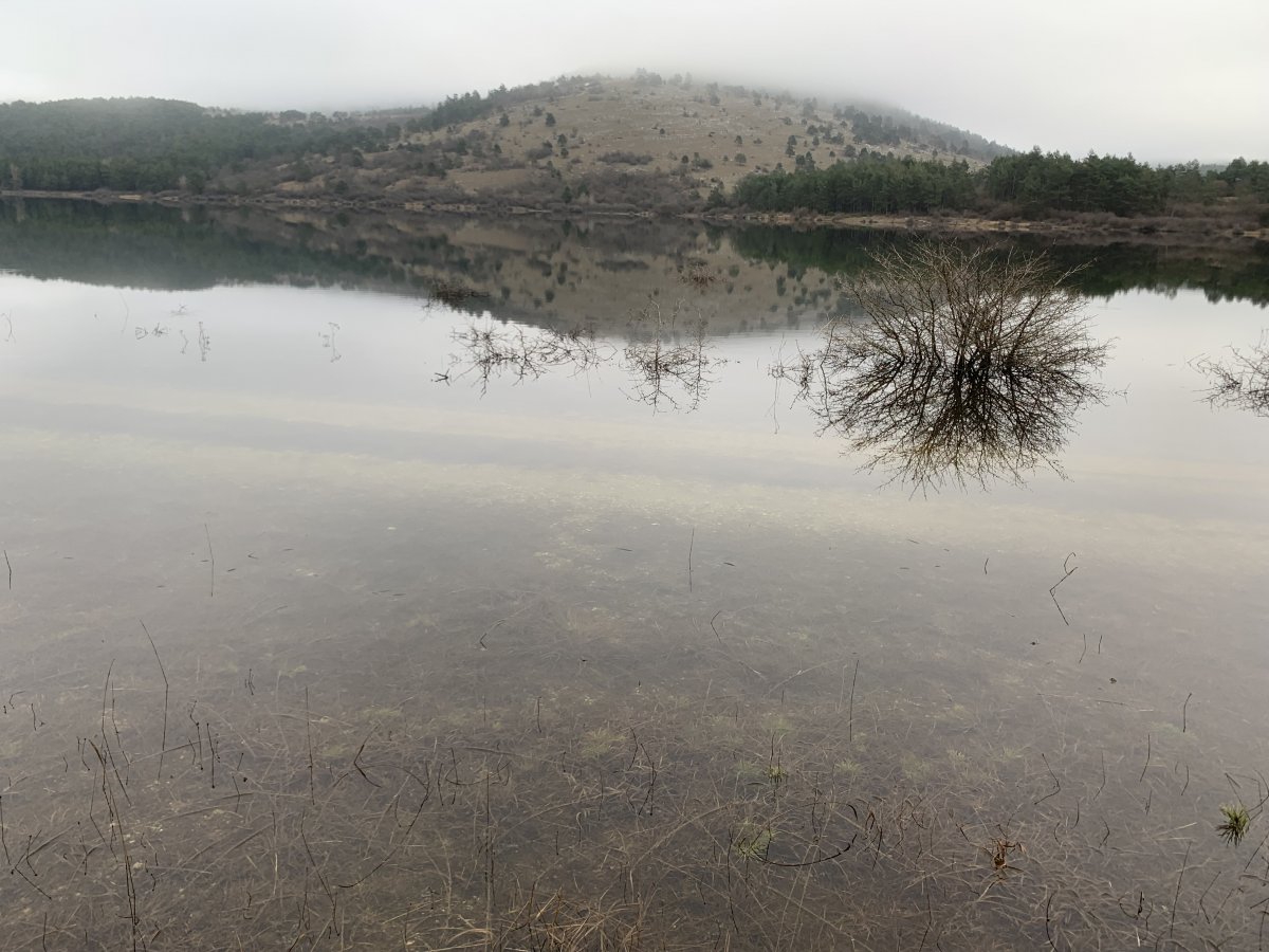 the Petelinje lake in the winter..