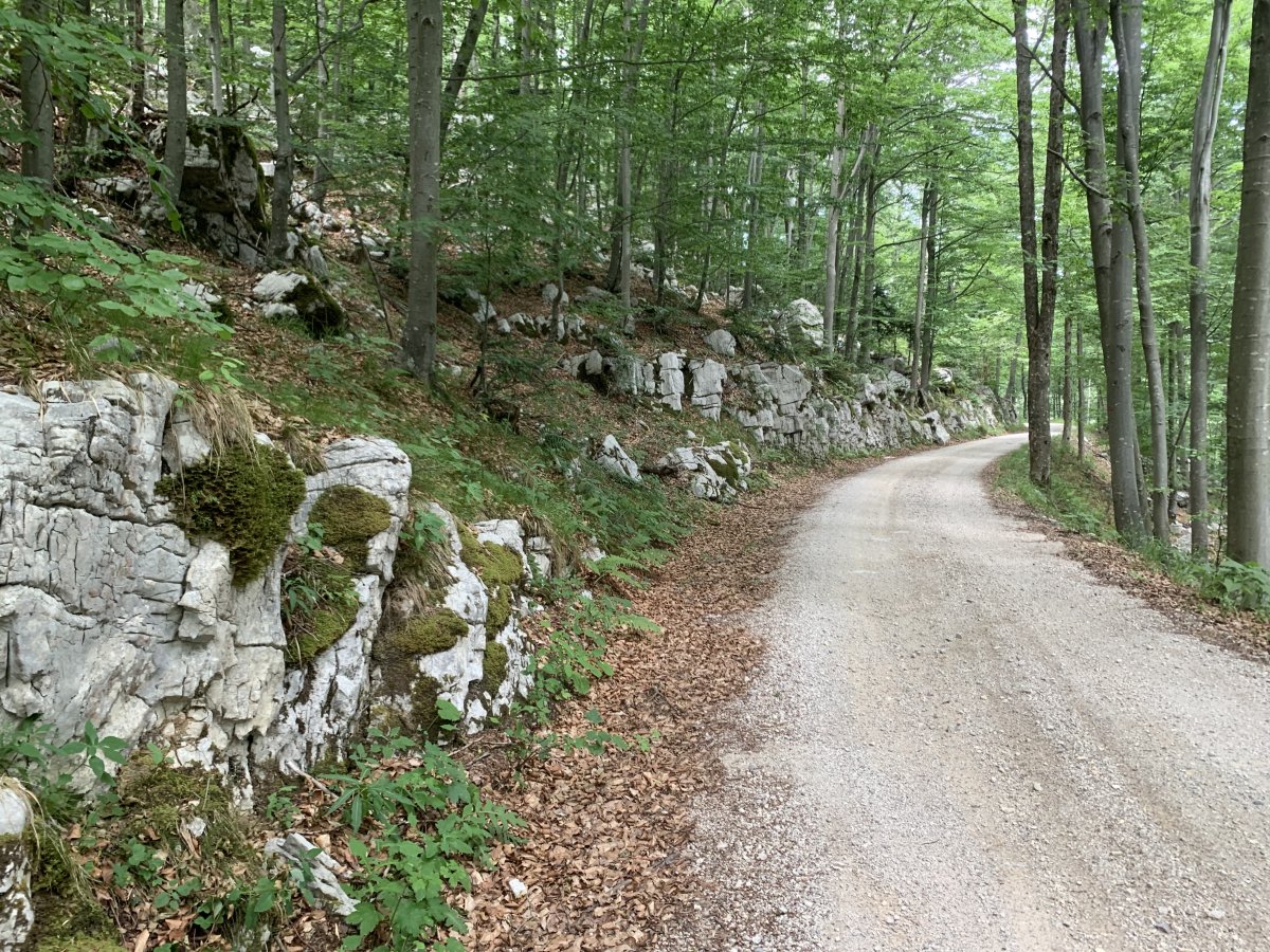 bike perfect tracks go up and down Nanos mountain, with Karst 
