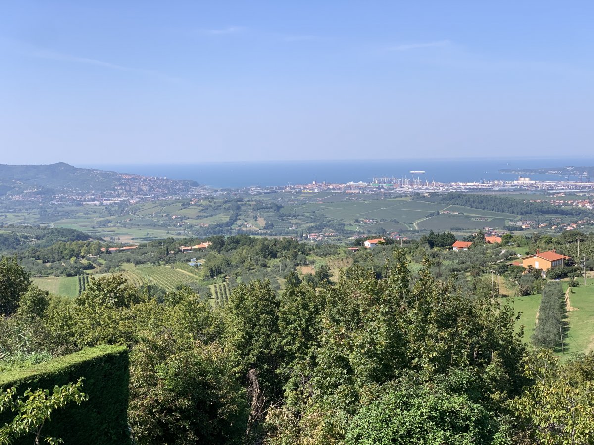 Vista over vineyards, the coastal hinterland and Koper port..