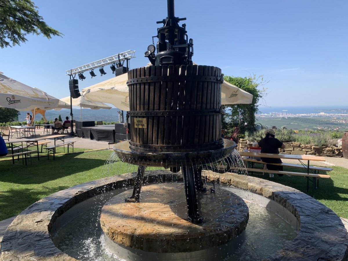 maybe this is a dog shower..