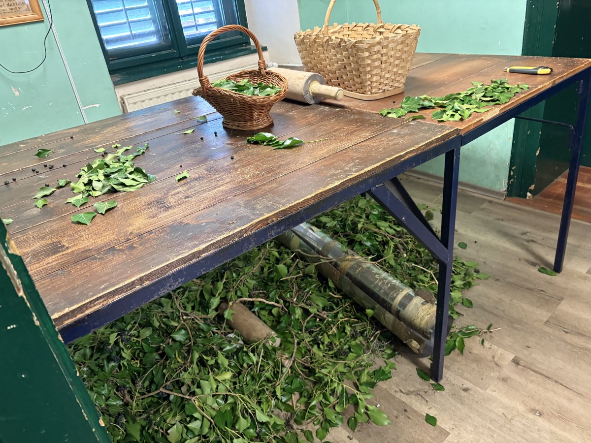 8-10 thousand leaves are hand sewn onto the Ivy Man's costume in just 2-3 weeks EVERY YEAR..