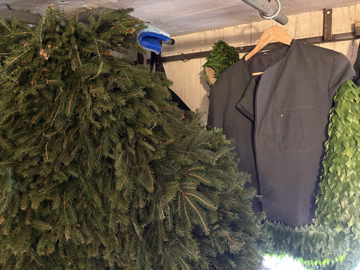 The Pust costume is completed and the Ivy Man's costume is still being hand sewn here, a week before carnival..