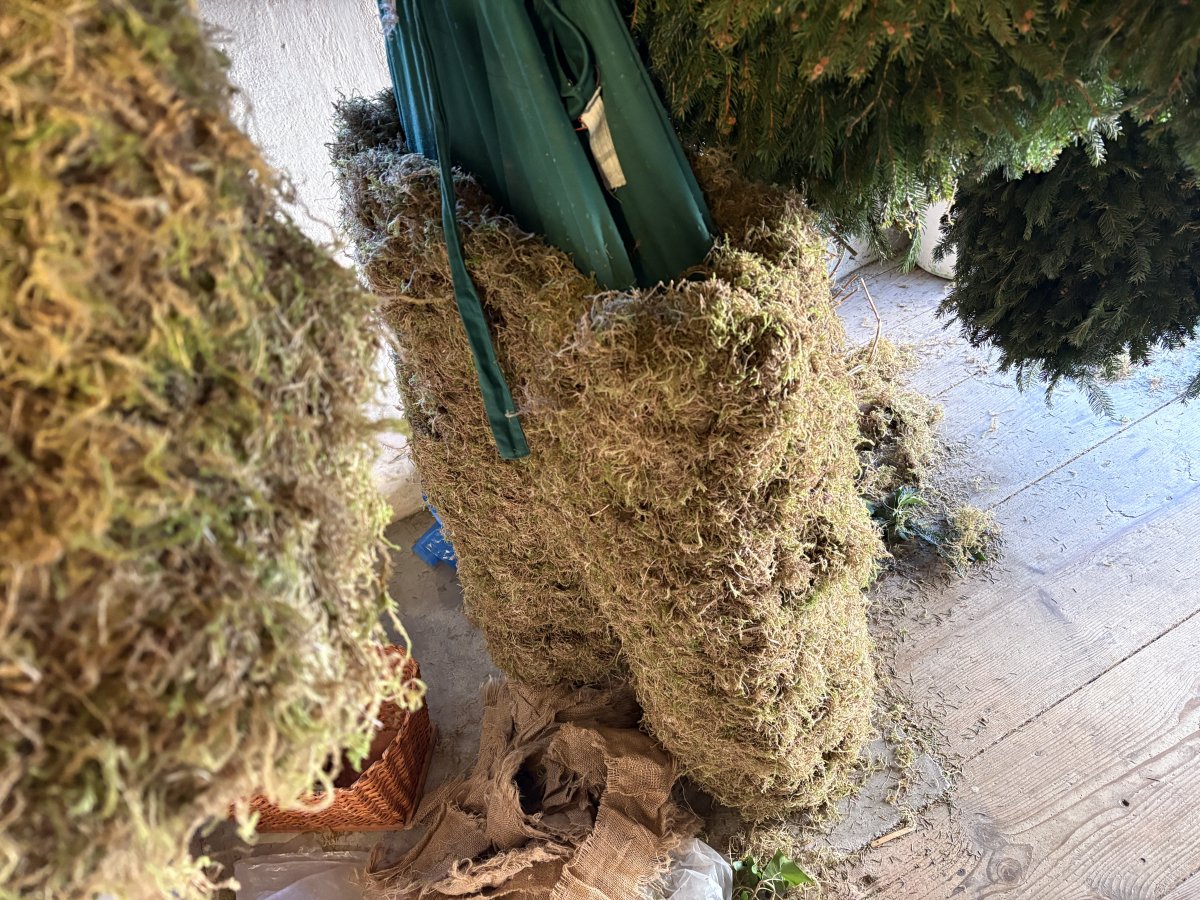 Heavy trousers ready for the Pust main character..