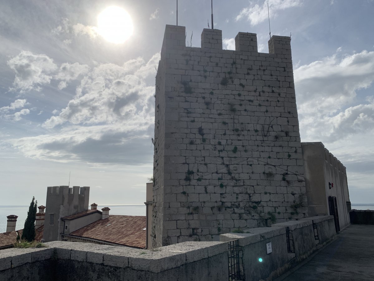 Majestic views from the top of the tower..