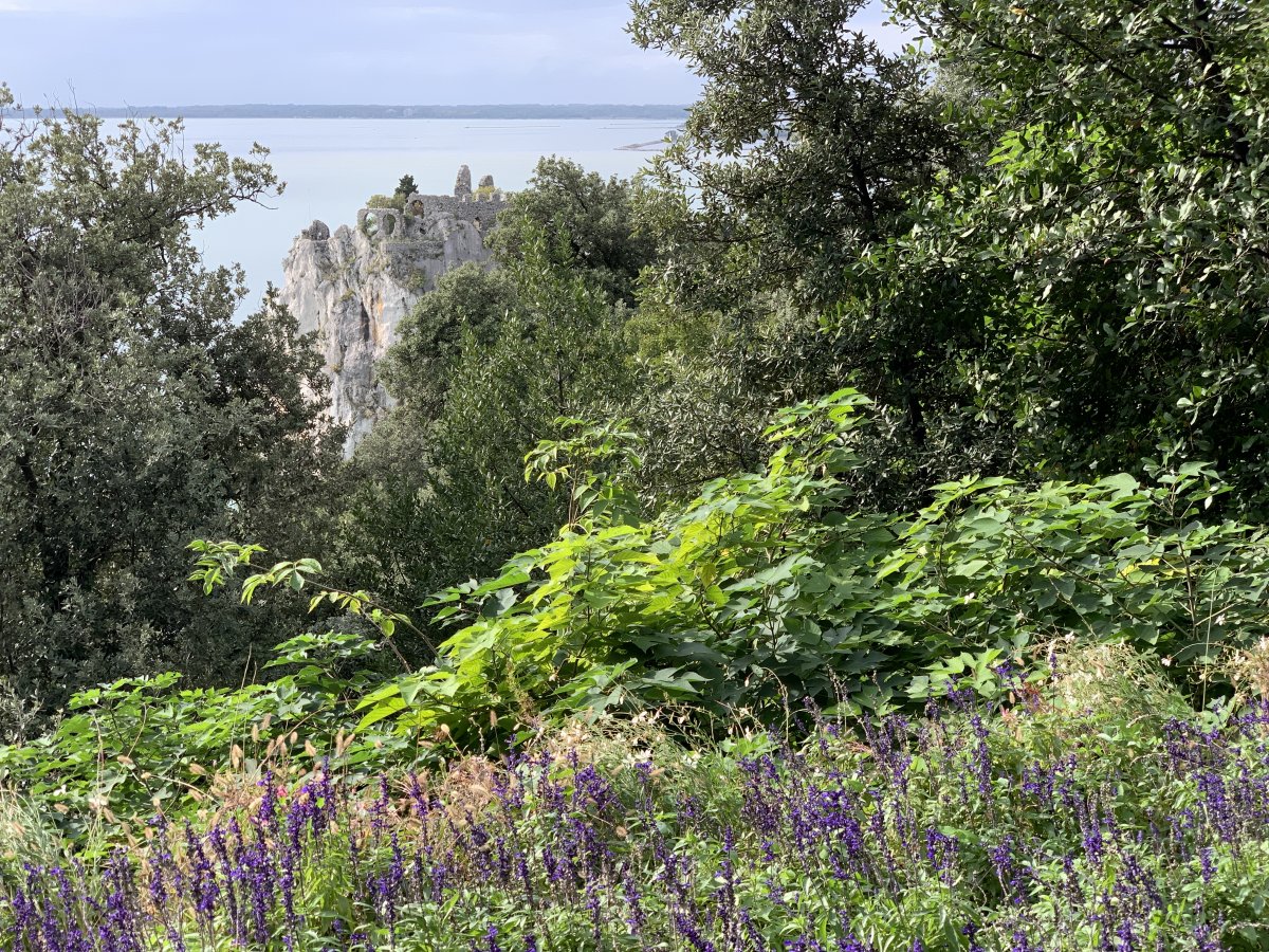 Garden view across to the crumbled castle on the cliff stack..