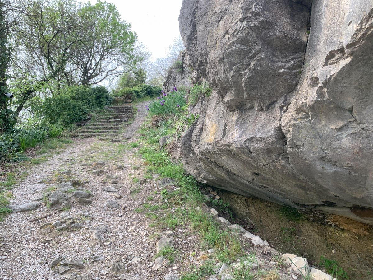 Don't miss this cute little side alley down from the tower..