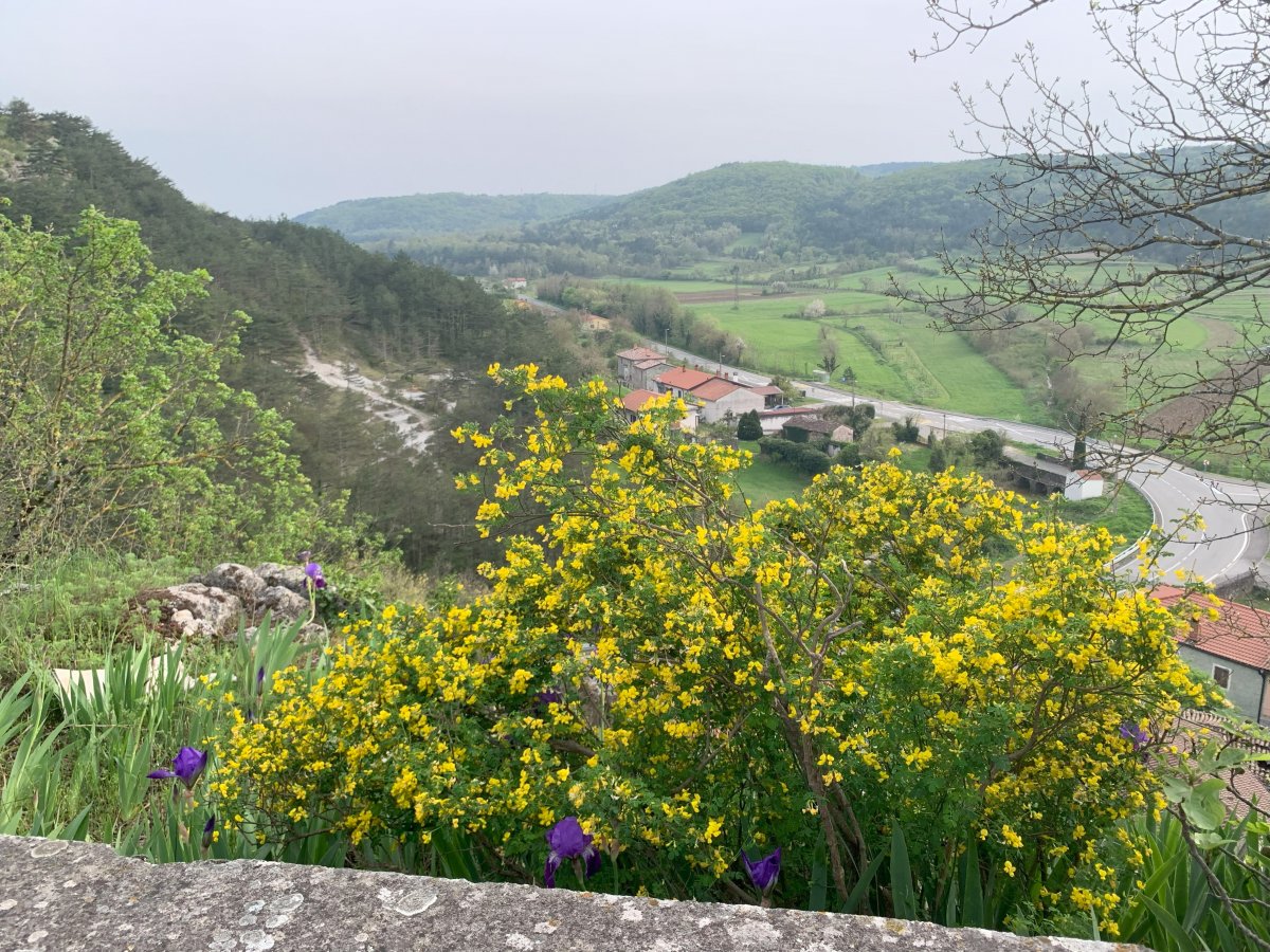 This road leads to the Slovenian border with Istrijan Croatia and Buzet..