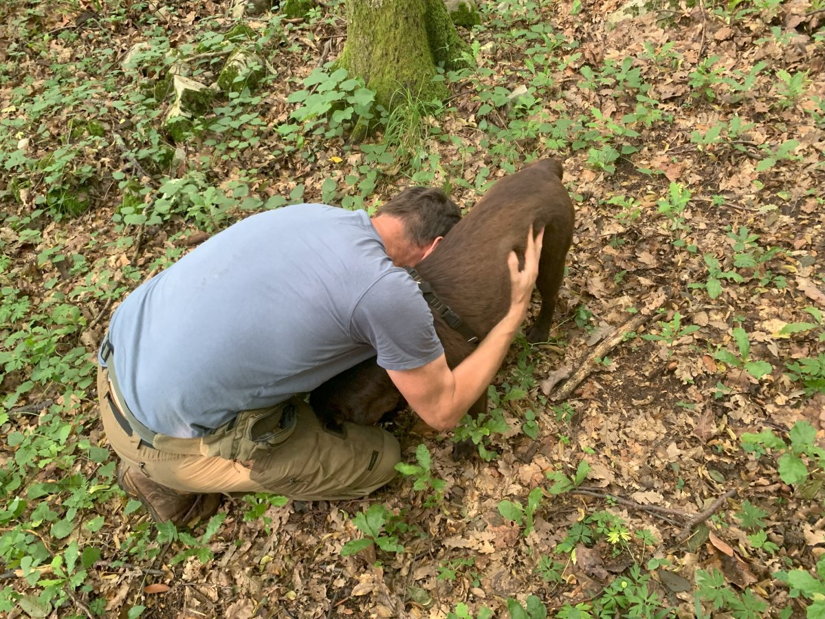 No one can doubt Matjaz's connection with his dogs..