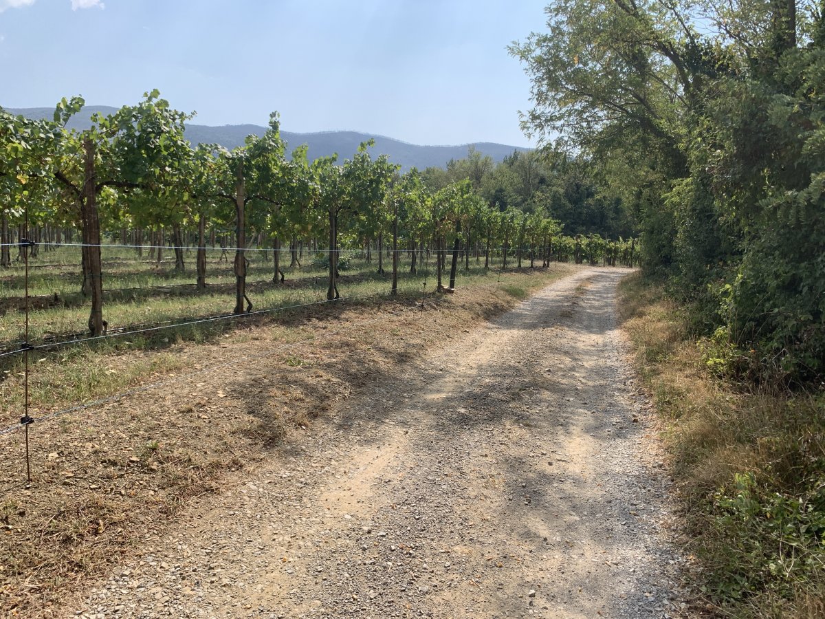Perfect sections of biking tracks through fruit gardens and vineyards..