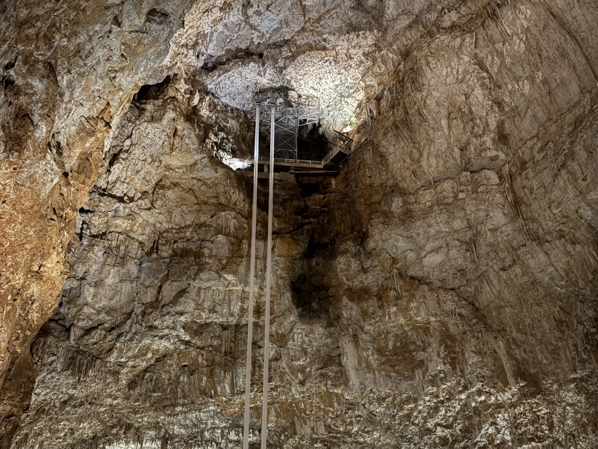 Are these giant plastic chop sticks or do they protect delicate scientific equipment reaching 95 metres from cave floor to top..