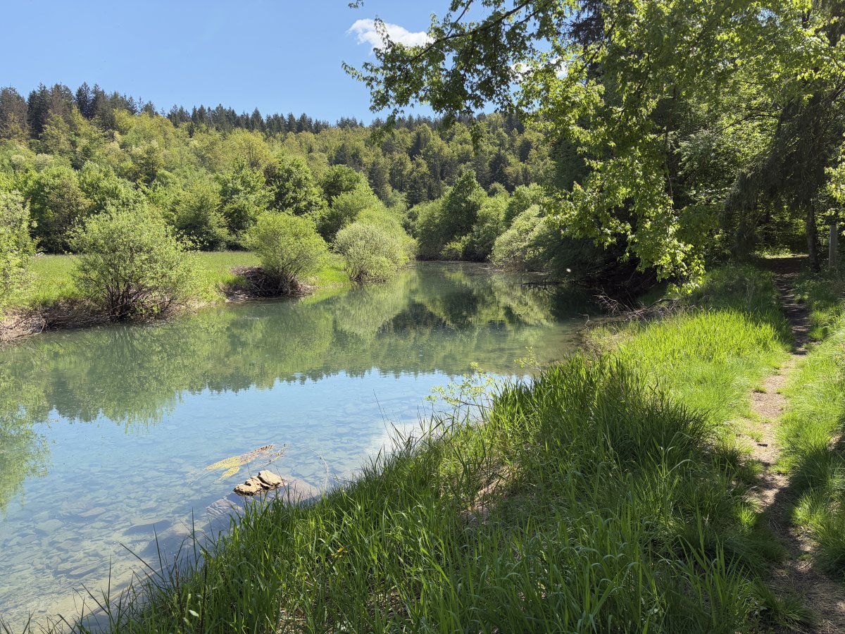 Would you expect to find this stunning river in the far corner of a Disappearing Lake..