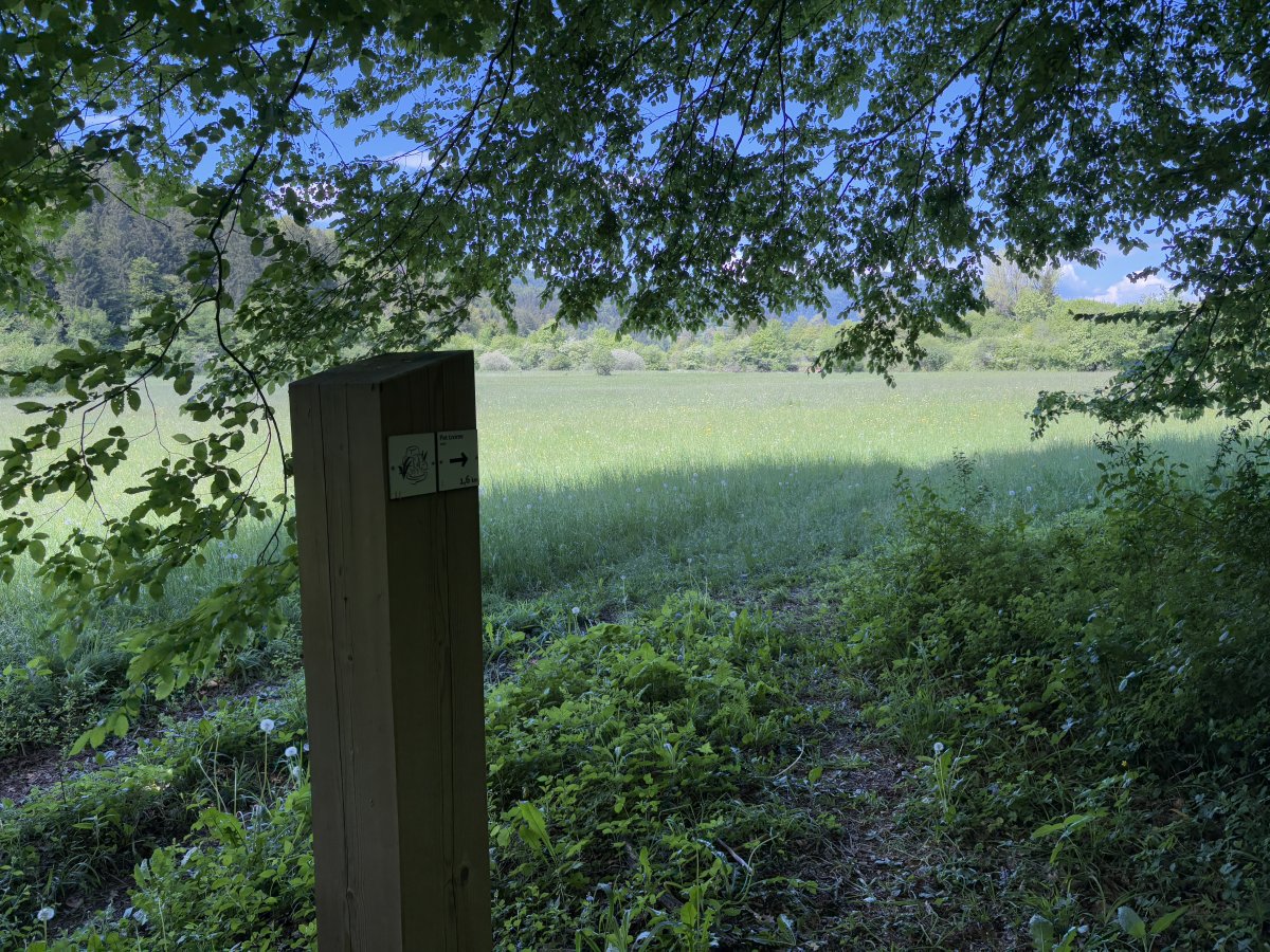 The wooden signs are excellent and give you the confidence to know you cross this meadow..