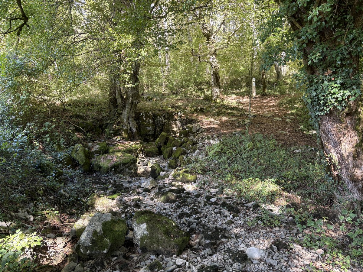 You can see one of the springs with the hiking path above.. no spring is the same..