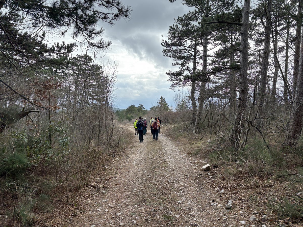 This track leads adjacent to the cliff towards Prapoce, the cliff is about 20m to the right..