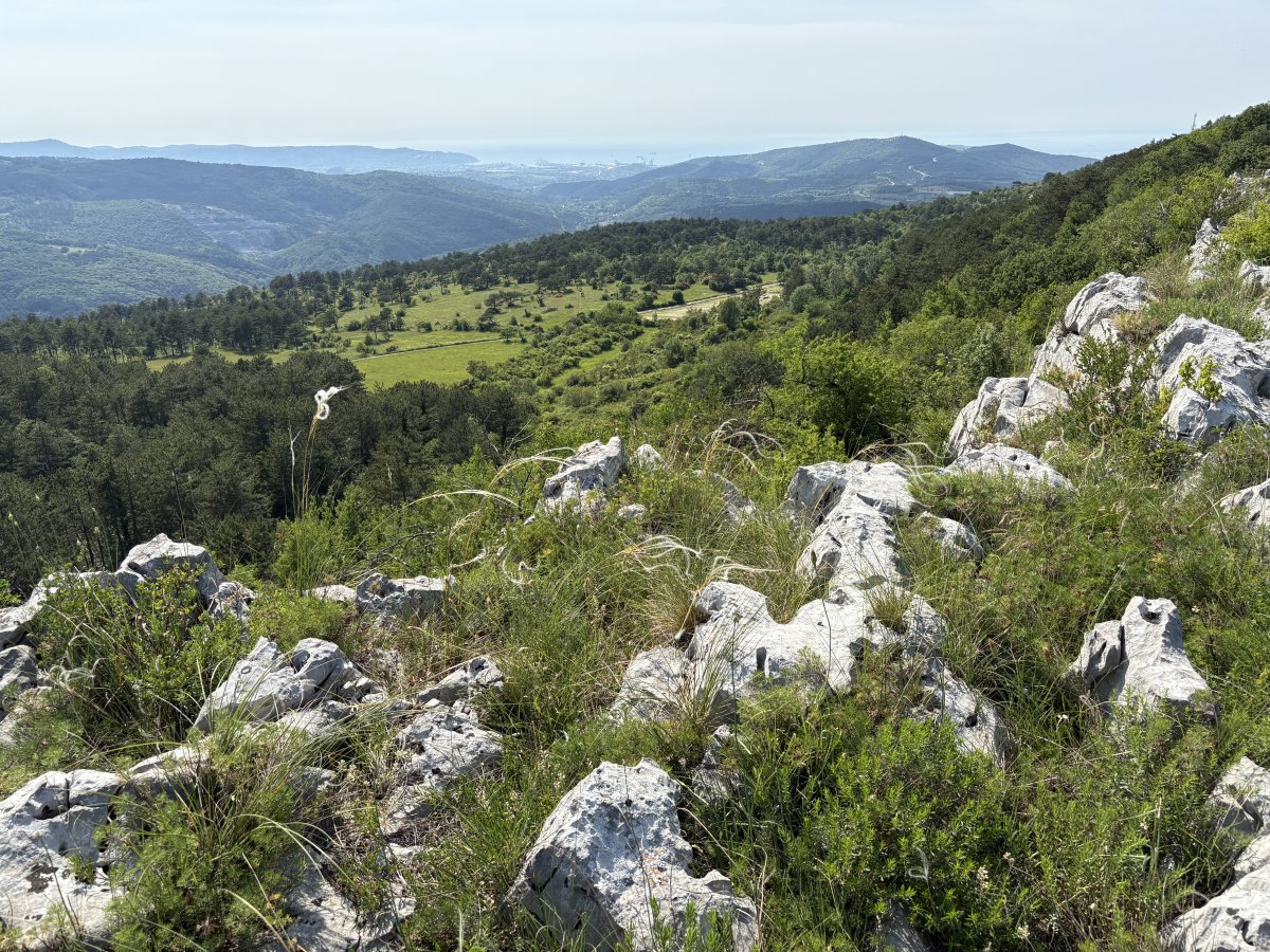 Stunning vista across the coastal Hinterland from on top of the last Karst Cliff to the Adriatic sea..