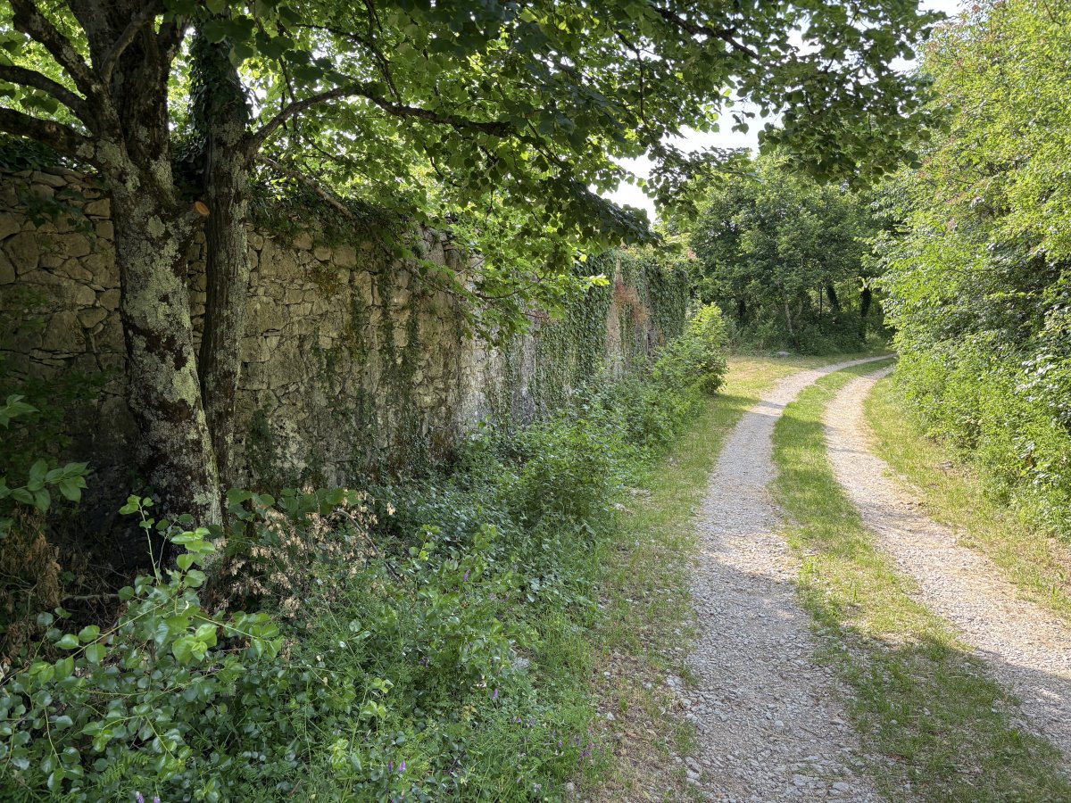 The track leading from Prapoce to the fields of flowers, telegraph poles and direction Italy..