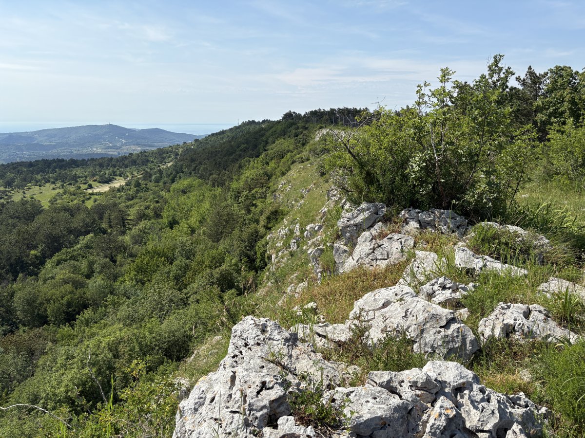 Hike the Last Karst Cliff