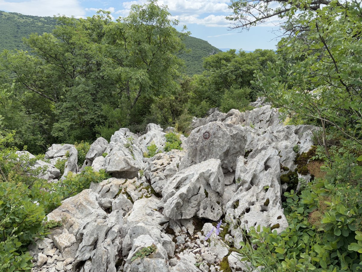 Do you see the circle on the rock marking the way.. This short rock hopping section was really fun..