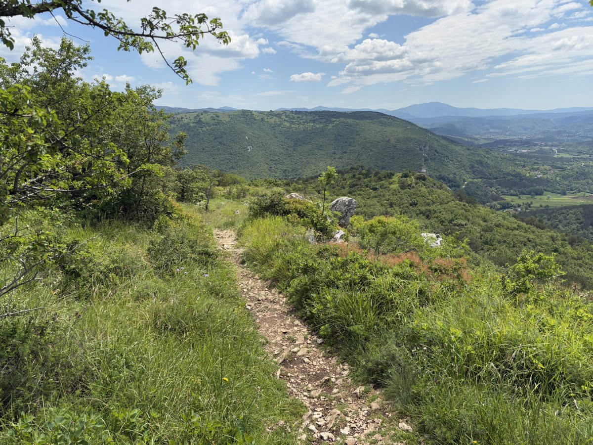 on the trail in the middle of a Green Paradise..