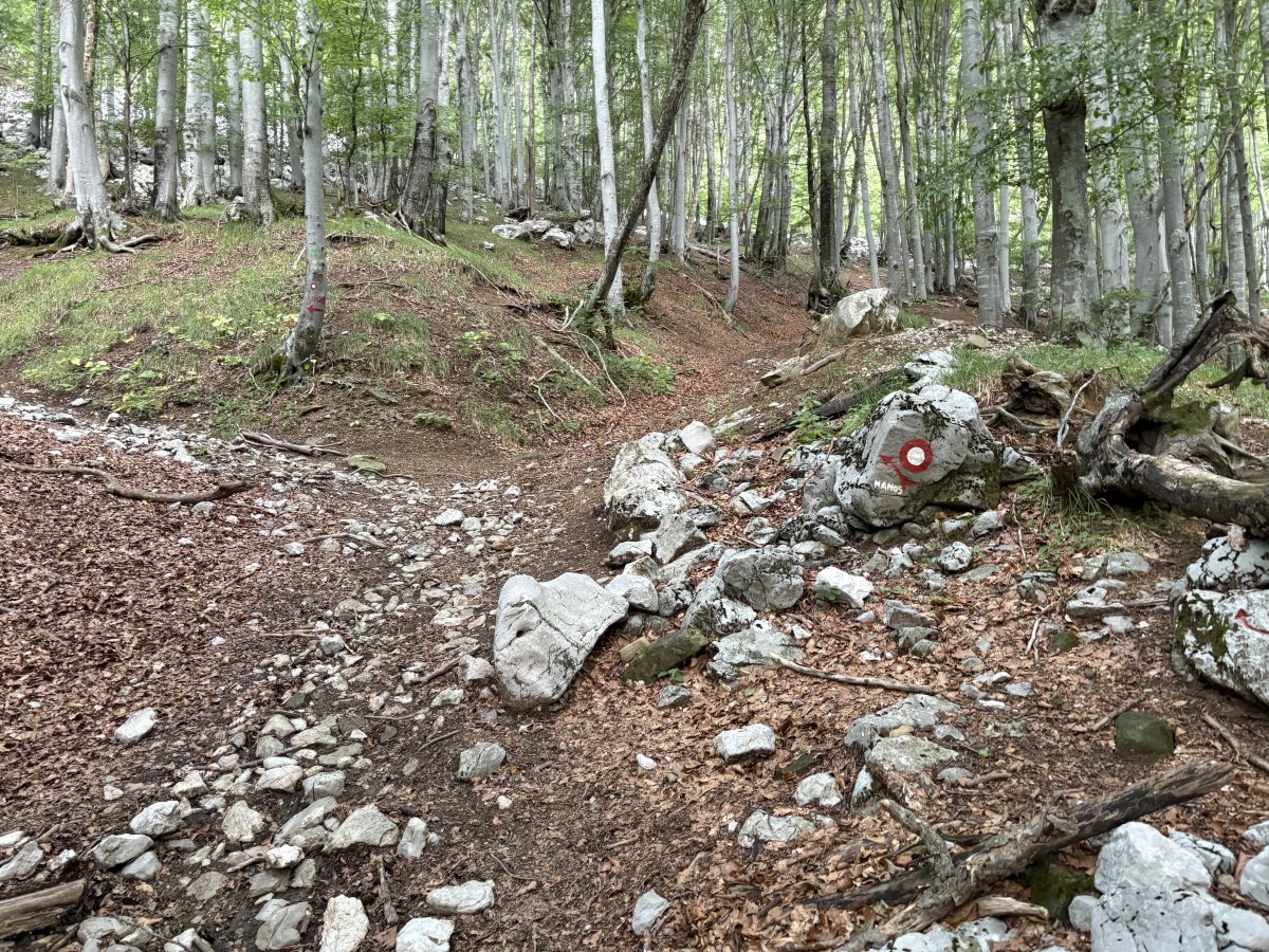 This is where you turn left a bit to continue up Nanos or go right for about 200m to see the church..