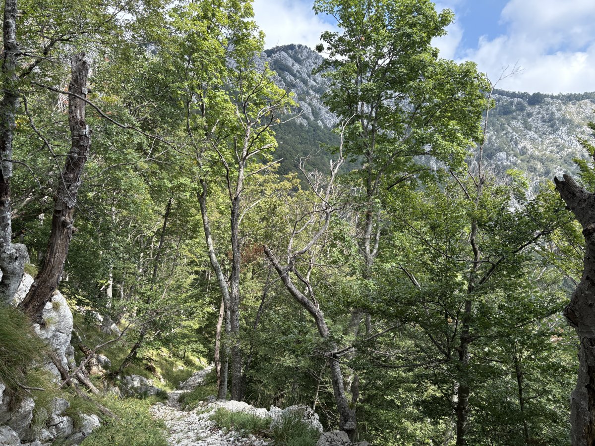 You could be rushing around the museums and crowded cafes by the river in Ljubljana or up here on Nanos in Green Paradise, Slovenia's true Green City.. Your choice..